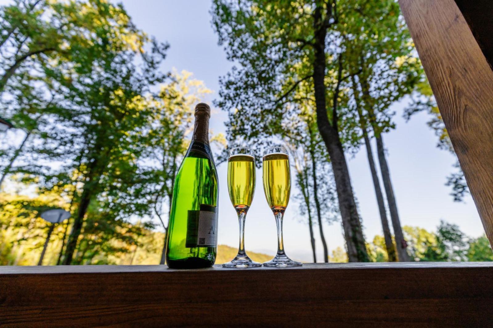 Heavenly Heights By Ghosal Luxury Lodging Sevierville Buitenkant foto
